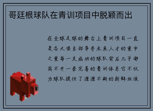 哥廷根球队在青训项目中脱颖而出