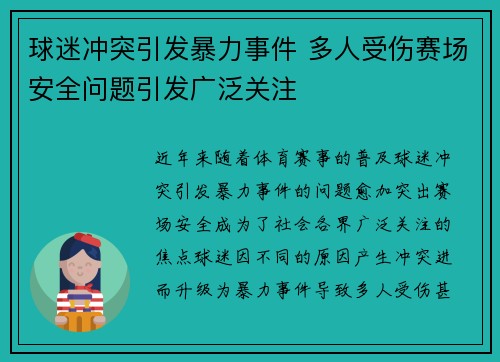 球迷冲突引发暴力事件 多人受伤赛场安全问题引发广泛关注